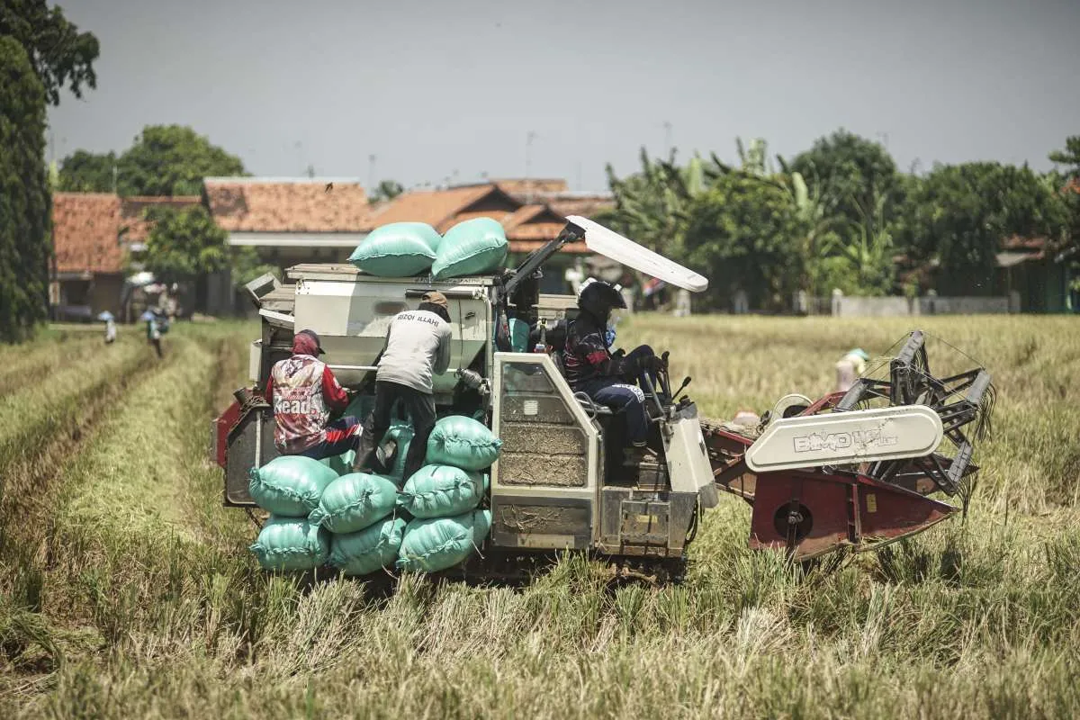 Panen Raya Hampir Usai, Bulog Siapkan Penyaluran Beras SPHP dan Bantuan Pangan Juni