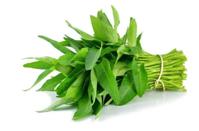Apakah Kangkung Menyebabkan Penyakit Asam Urat atau Tidak? Ini Jawabannya