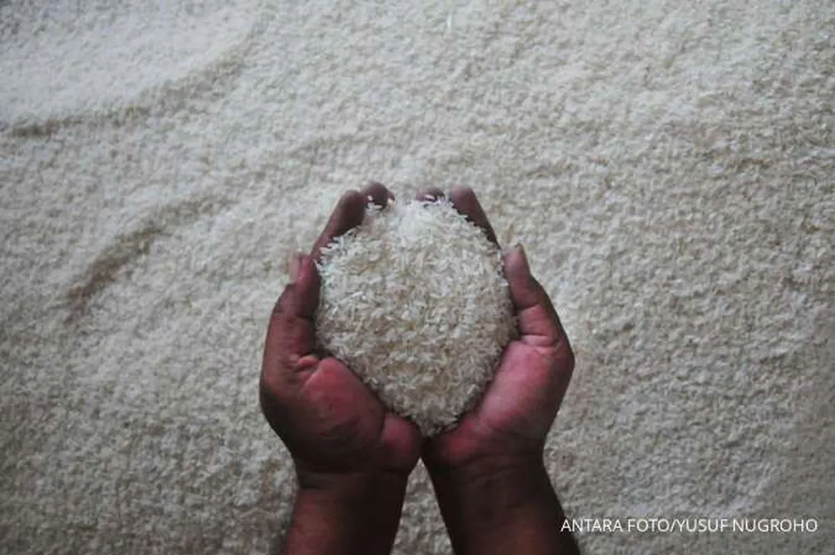 BPS: Volume Impor Beras Mencapai 1,6 Juta Ton pada Periode Januari-Agustus 2023