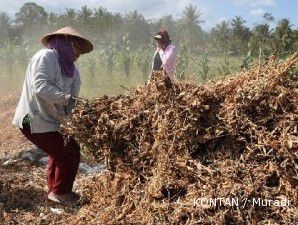 Petani tak merespons kredit ketahanan pangan