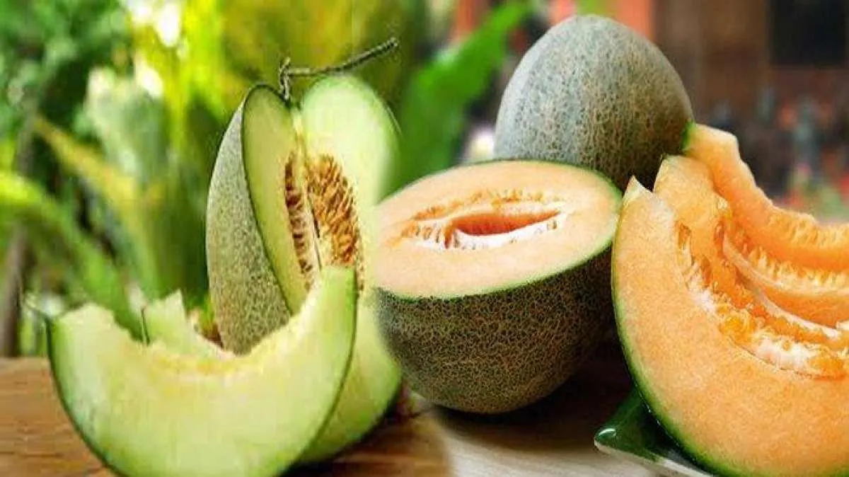 Simak 9 Manfaat Melon Untuk Kesehatan yang Jarang Diketahui