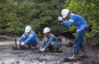 Pendapatan Anjlok 12,5%, Laba ABMM Terjun Hingga 62,1%