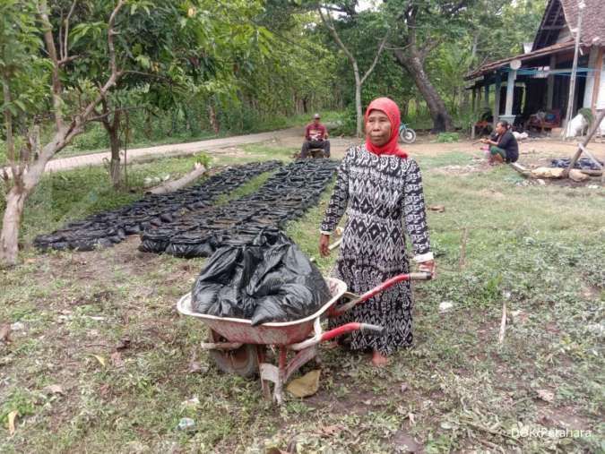 Dari NFT untuk petani perempuan Indonesia