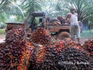 Mandiri siap dorong industri hilir kelapa sawit