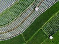 2025 Merupakan Salah Satu Tahun Terpanas Sepanjang Masa, Bisa Terulang di 2026