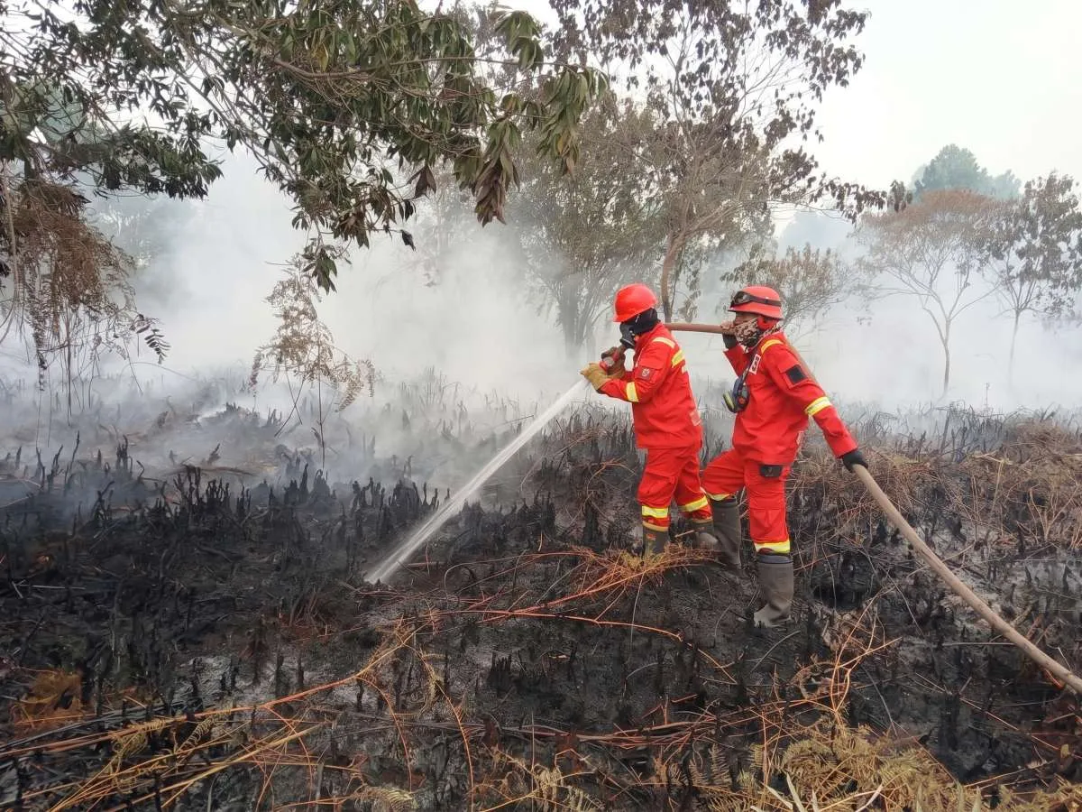 Muhammadiyah Desak Aparat Bongkar Aktor Kebakaran Hutan