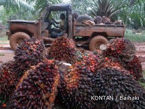 CPO reli, saham AALI naik paling tajam dalam delapan pekan