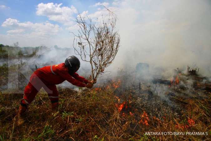 BNPB: Penyebab kebakaran hutan dan lahan 99% karena ulah manusia