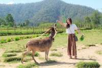 Rekomendasi 8 Tempat Liburan di Bandung yang Cocok Untuk Libur Nataru 2025