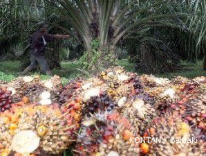 Siang tadi, harga CPO di Malaysia sempat melejit 2%