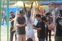 Catat Harga Kambing dan Sapi Kurban dari BAZNAS Kota Makassar dan Wilayah Sulsel