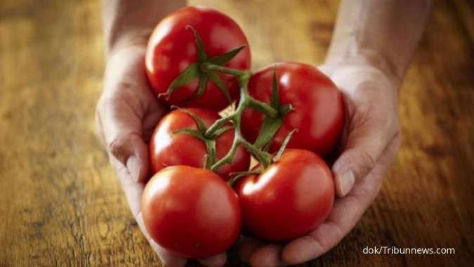 Kandungan Nutrisi dalam Tomat