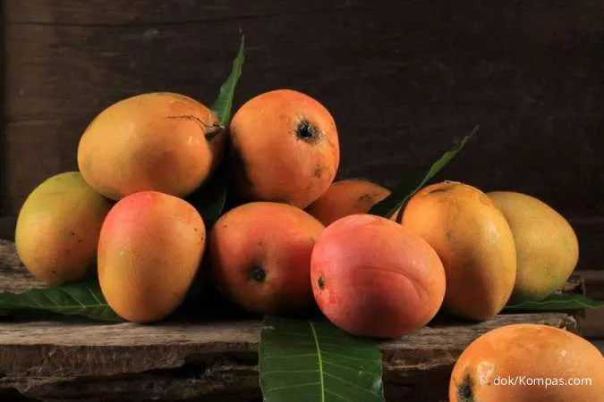 Buah mangga 