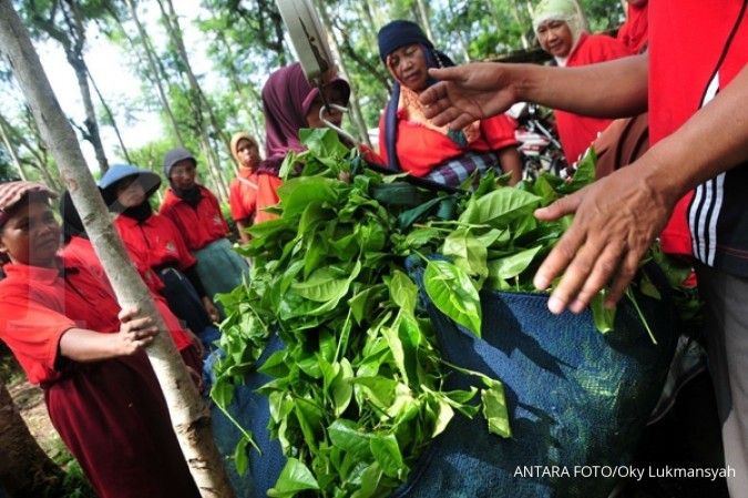 Anggaran Kementerian Desa ditambah Rp 2,57 triliun