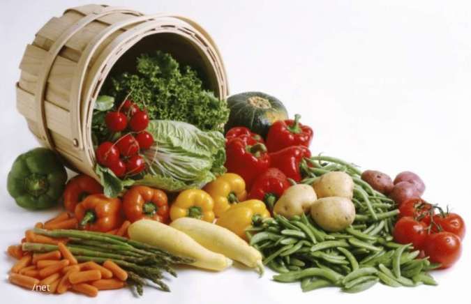 Suka Makan Sayur? Simak 5 Manfaat Makan Sayur Untuk Kesehatan Berikut