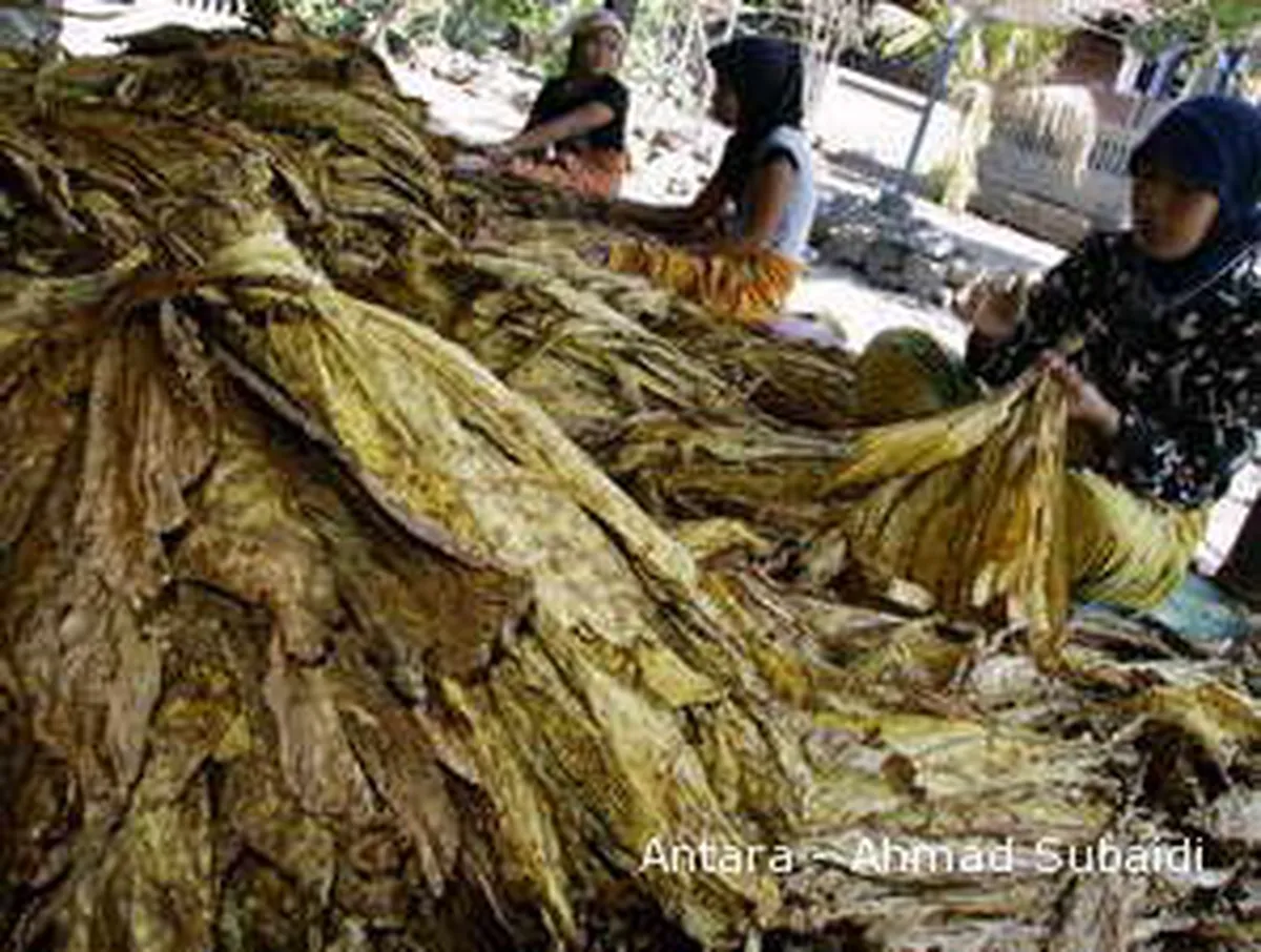 MK Dimohonkan Untuk Cabut Ayat Tembakau