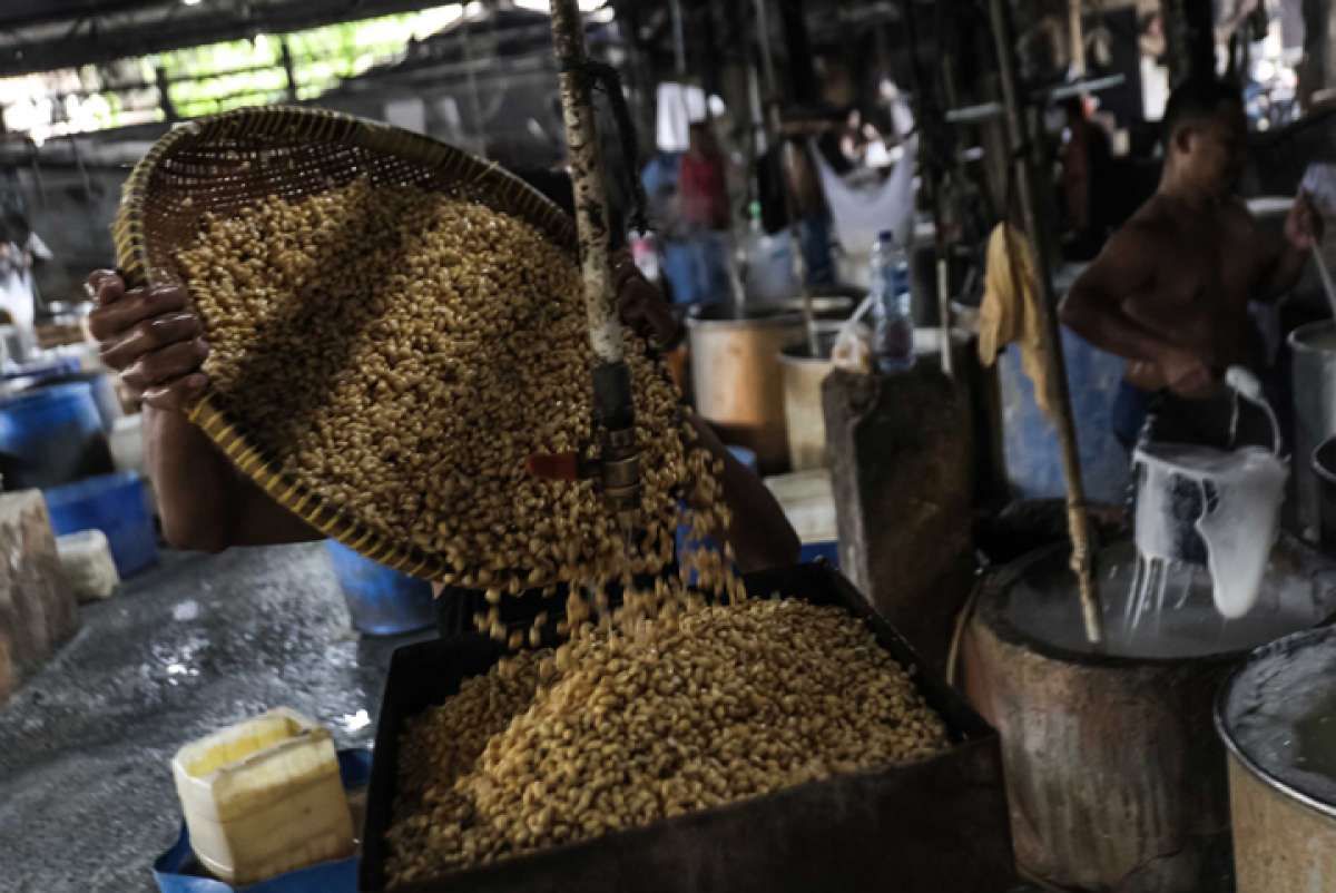 Gawat! Stok Kedelai di Akhir Tahun Sangat Minim