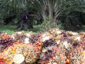 Saham AALI tergerus karena jatuhnya harga minyak sawit