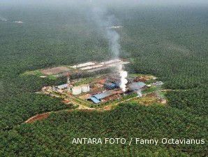 Produksi bibit sawit terhambat moratorium hutan