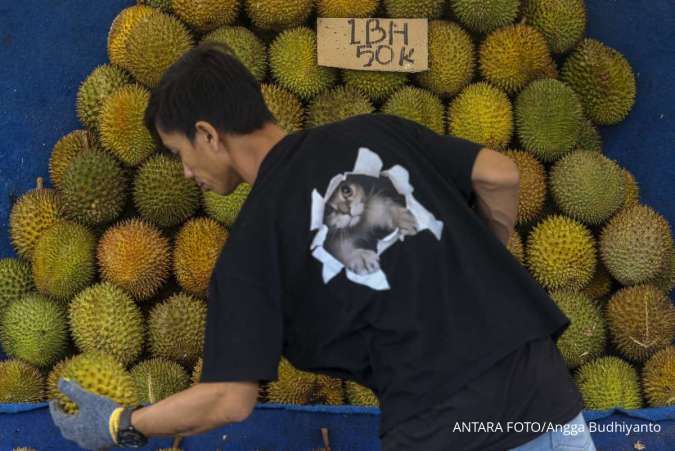 Musim Durian Tiba, Ini Cara Memilih Durian yang Enak, Manis dan Daging Buah Tebal