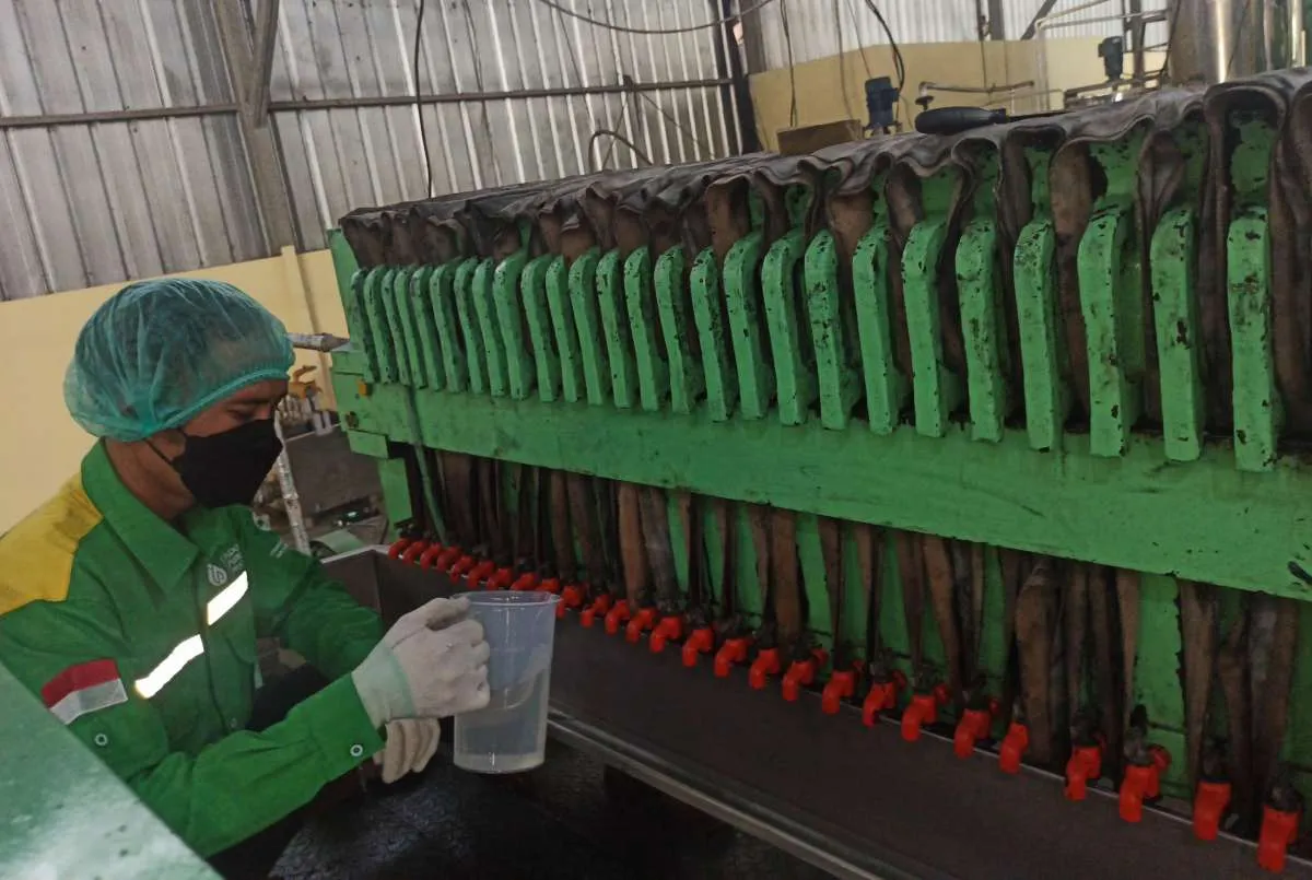 Indo Pureco (IPPE) Catatkan Kenaikan Laba Bersih 205% di Kuartal III 2022