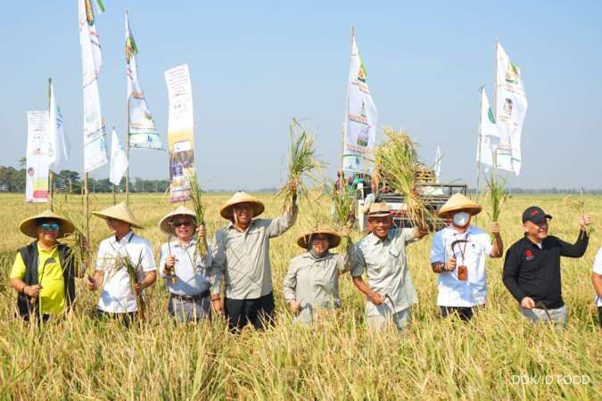 Panen Bersama Budidaya Padi Varietas Unggul, ID FOOD Dukung Penguatan Cadangan Beras