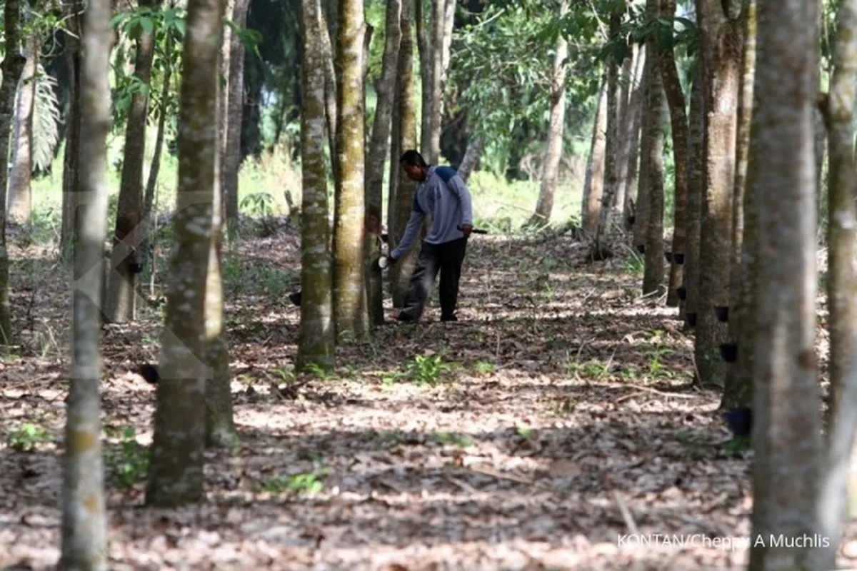 Upah petani naik, daya beli tetap lemah