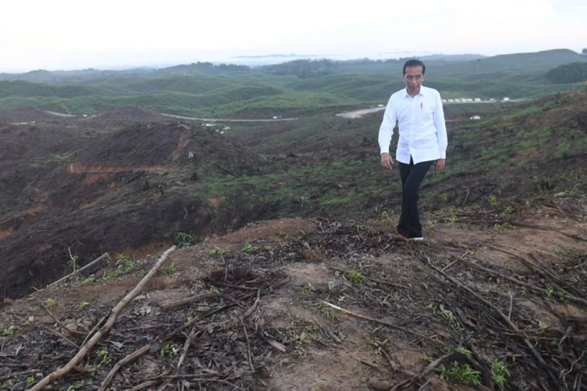 Jokowi minta semua ASN pindah ke ibu kota baru di Kaltim, begini kata BKN