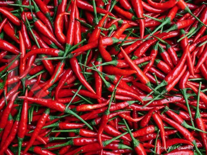 Proyeksi BI: Cabai Merah dan Minyak Kerek Inflasi