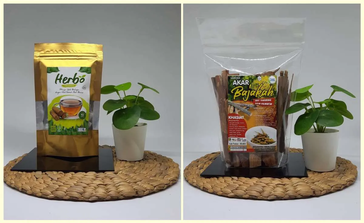 Herbal Borneo meracik cuan dari produk herbal teh bajakah