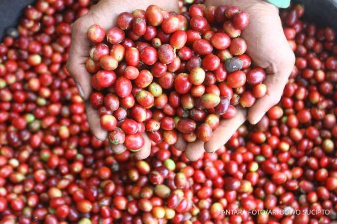 Penerapan UU Anti Deforestasi Uni Eropa Pengaruhi Kelangsungan Bisnis Kopi Nasional