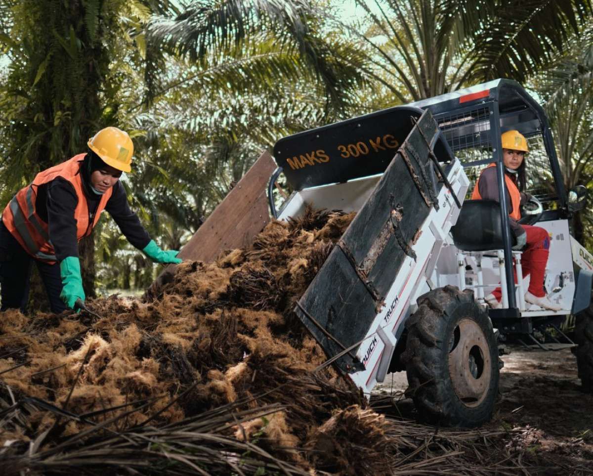 Kinerja Industri Kelapa Sawit Maret 2026, Tergelincir