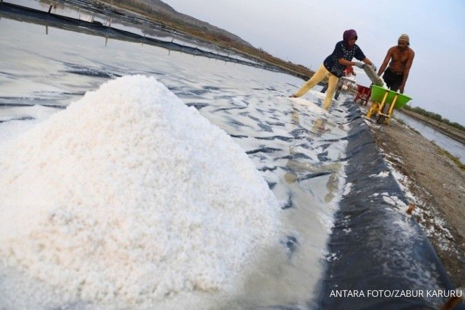 Panen garam nasional sudah mencapai 1,3 juta ton