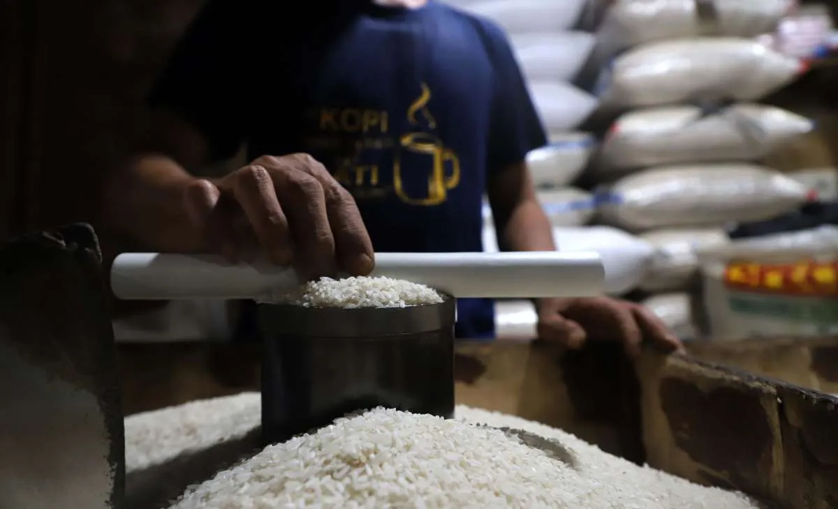 Harga Pangan Terkini di NTT 26 Desember 2024: Beras Medium dan Ikan Kembung Turun