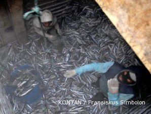 KKP sita 200 ton ikan tak resmi di Muara Angke