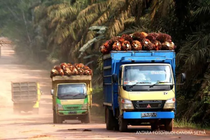 Palm Oil Producers Urges EU to Delay Deforestation Rules for Small Businesses
