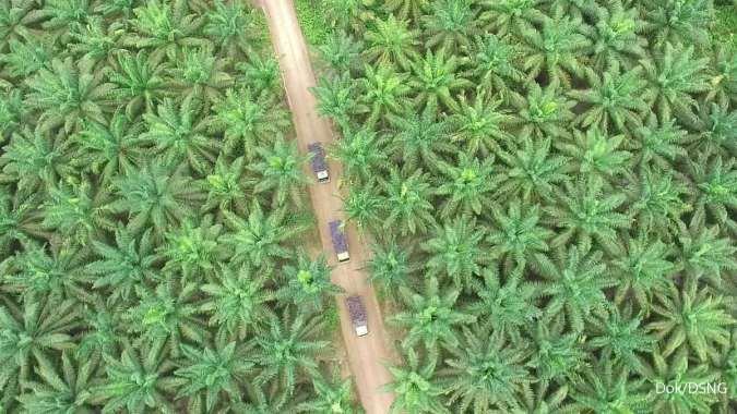 Dampak UU Anti Deforestasi, Negara Berpotensi Kehilangan Penerimaan US$ 5,15 Miliar