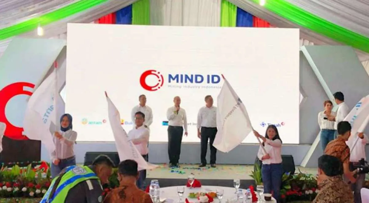 Freeport & Vale sudah direbut, apa lagi yang diincar CEO MIND ID Budi Gunadi Sadikin?