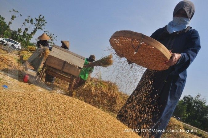 Bulog Jakarta-Banten akan serap 79.000 ton beras