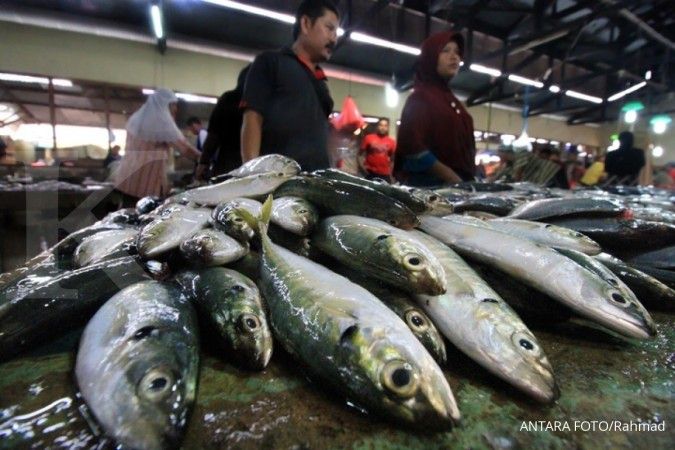 KKP perbaiki tempat pemasaran ikan demi perbaikan kualitas