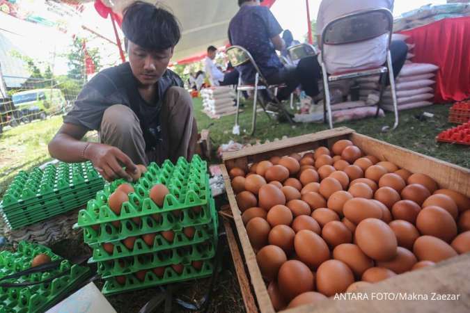 BPS: Program Makan Bergizi Gratis Mengerek Inflasi Telur dan Daging Ayam Ras