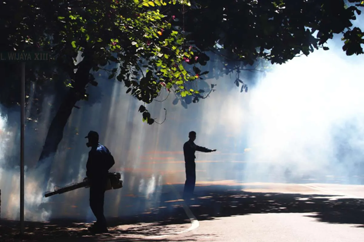 Cara Penularan Penyakit Demam Berdarah dan Cara Pencegahannya