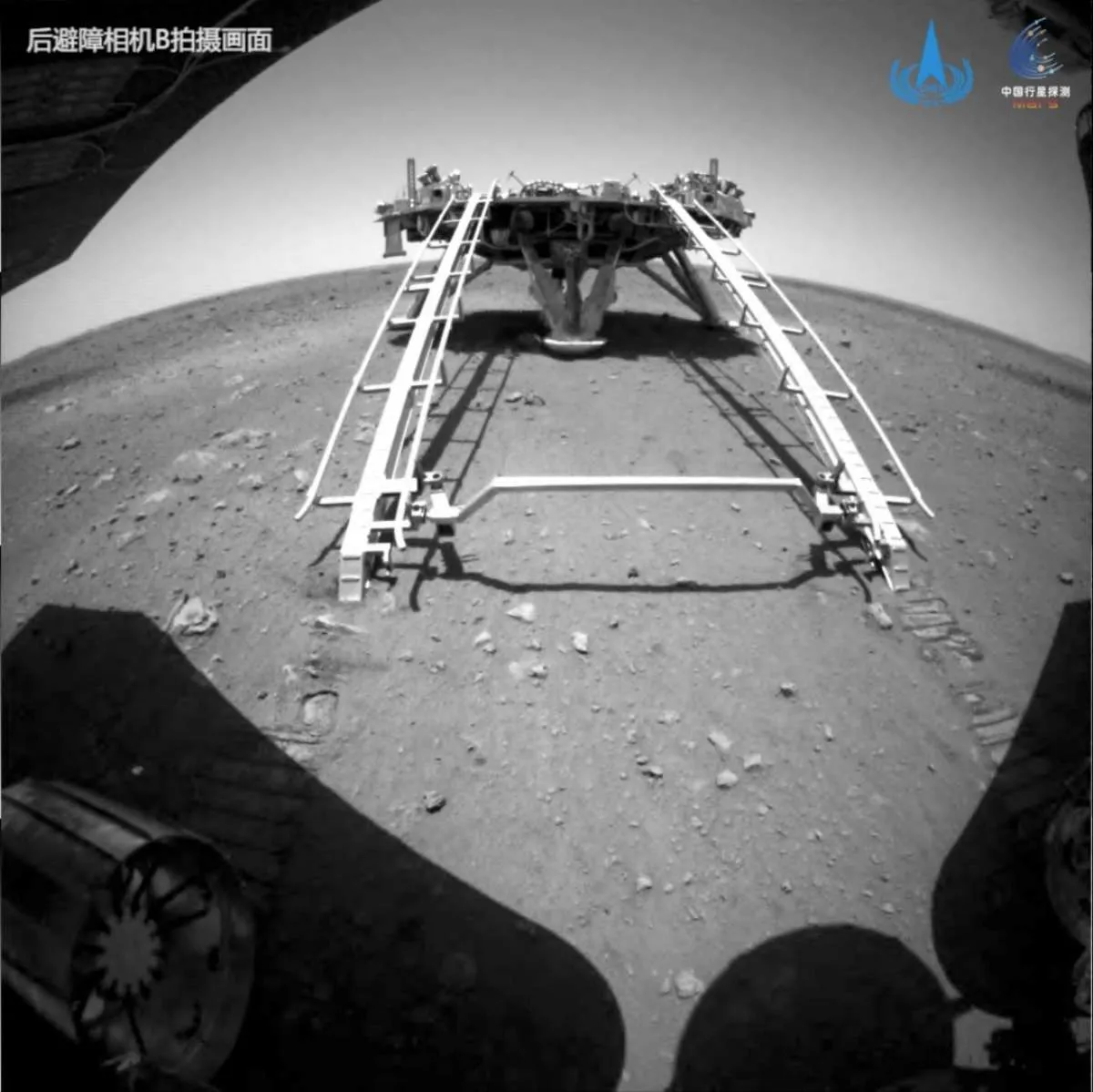 Sperma tikus dapat bertahan, manusia siap bermigrasi ke Planet Mars?