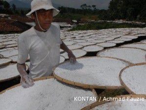 China mengincar tepung gaplek Indonesia