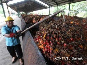 Kecemasan akan suplai bikin harga CPO kembali menanjak