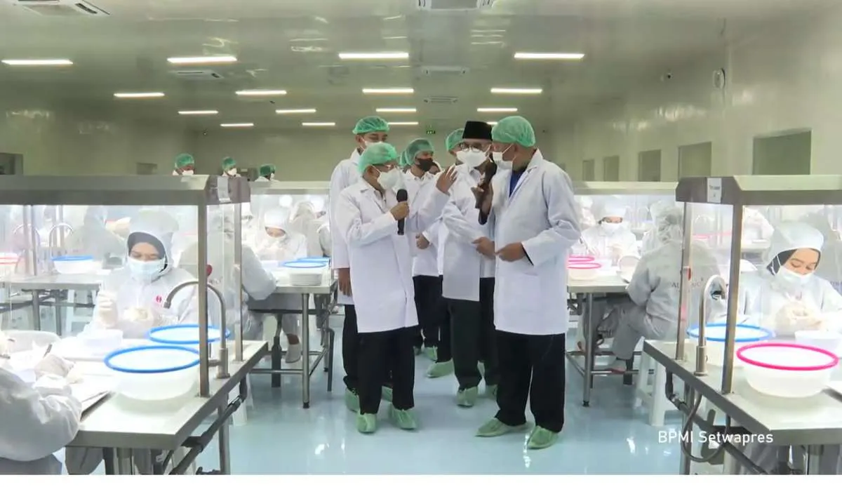 Punya Potensi Besar, Wapres Minta Industri Sarang Burung Walet Dikelola dengan Baik