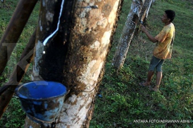 Government agrees to three IRTC policies to boost rubber prices