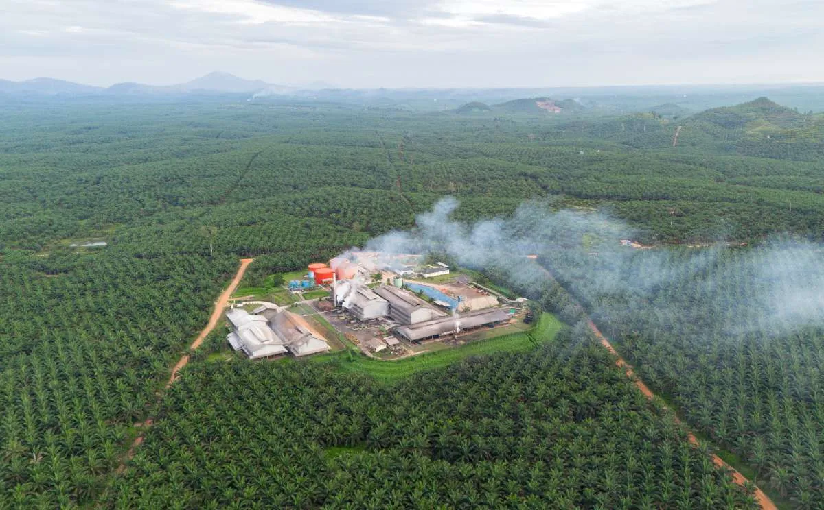 Triputra Agro (TAPG) Terima Suntikan Dividen Rp 450 Miliar dari Anak Usaha
