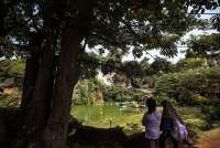 Mengenal Desa dengan Pergaulan Tingkat ASEAN