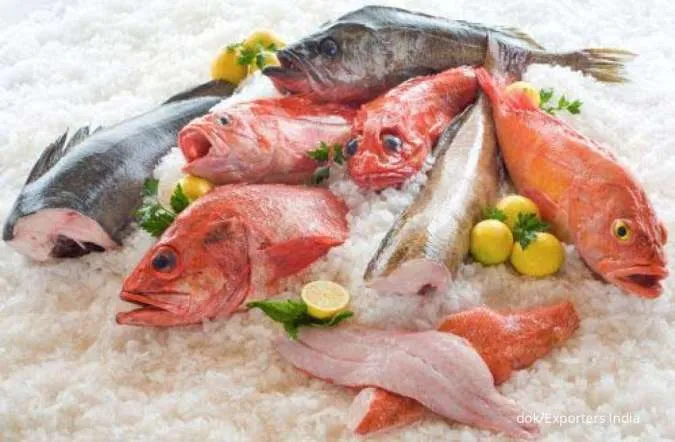 Awet Tahan Lama, Ini 3 Cara Menyimpan Ikan Segar yang Tepat dalam Freezer